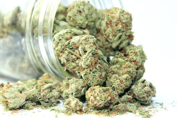 Best Marijuana Strains for Health and Activities | Medcare Farms